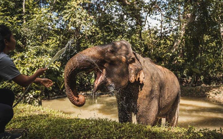 Khao Sok National Park – The Hidden Gem of Thailand